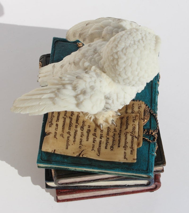 US 4.75 Inch Snow Owl Flap Wings on Books Trinket Box, White Color - Image 5